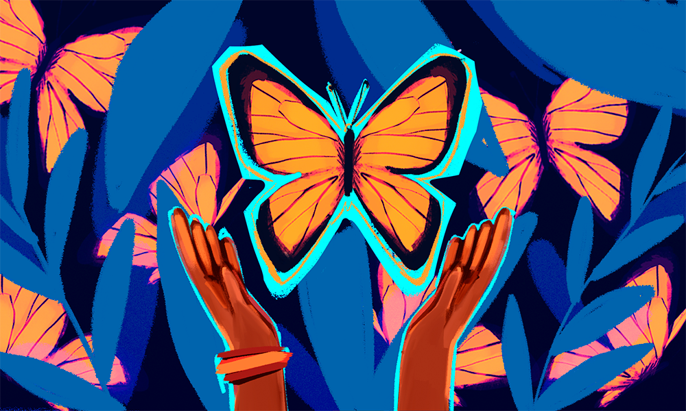 La mariposa monarca, su migración y los santuarios ¿dónde verla y cómo