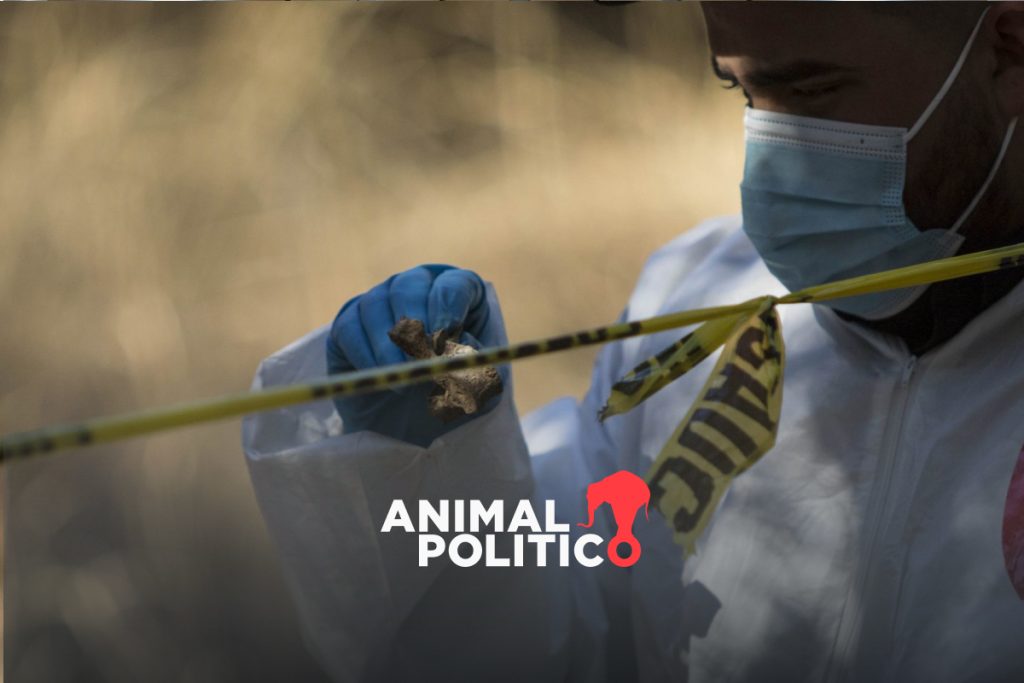 San Luis Potosí Encuentran fosa clandestina con restos óseos
