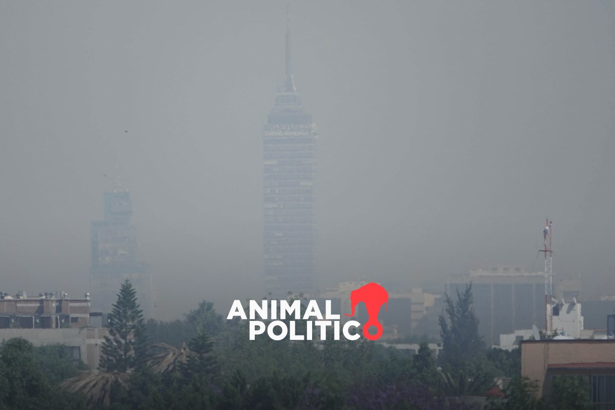 Cuál es la calidad del aire en CDMX y Edomex este 29 de julio – Infobae
