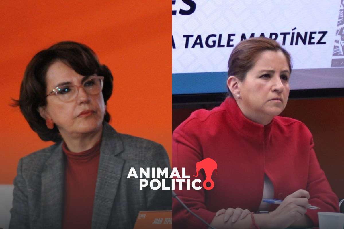Sociedad civil pide a Movimiento Ciudadano postular a Patricia Mercado