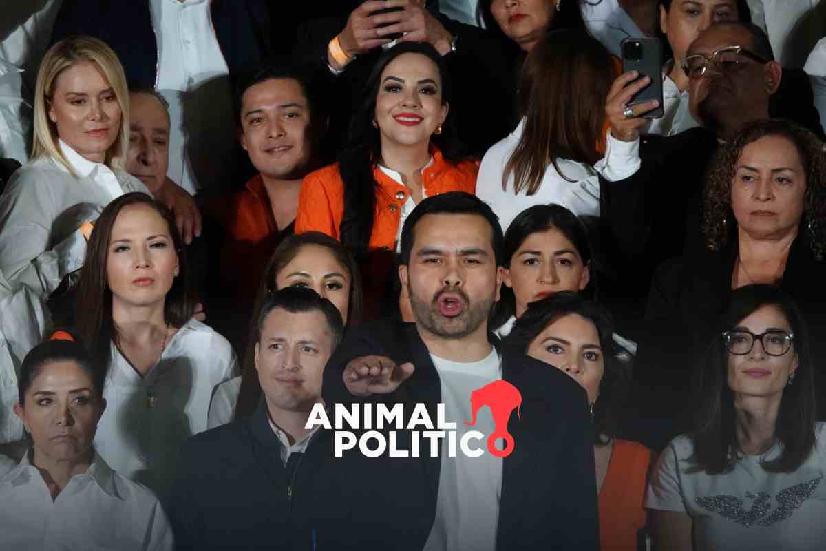 Movimiento Ciudadano, el partido “local” que buscará ganar la