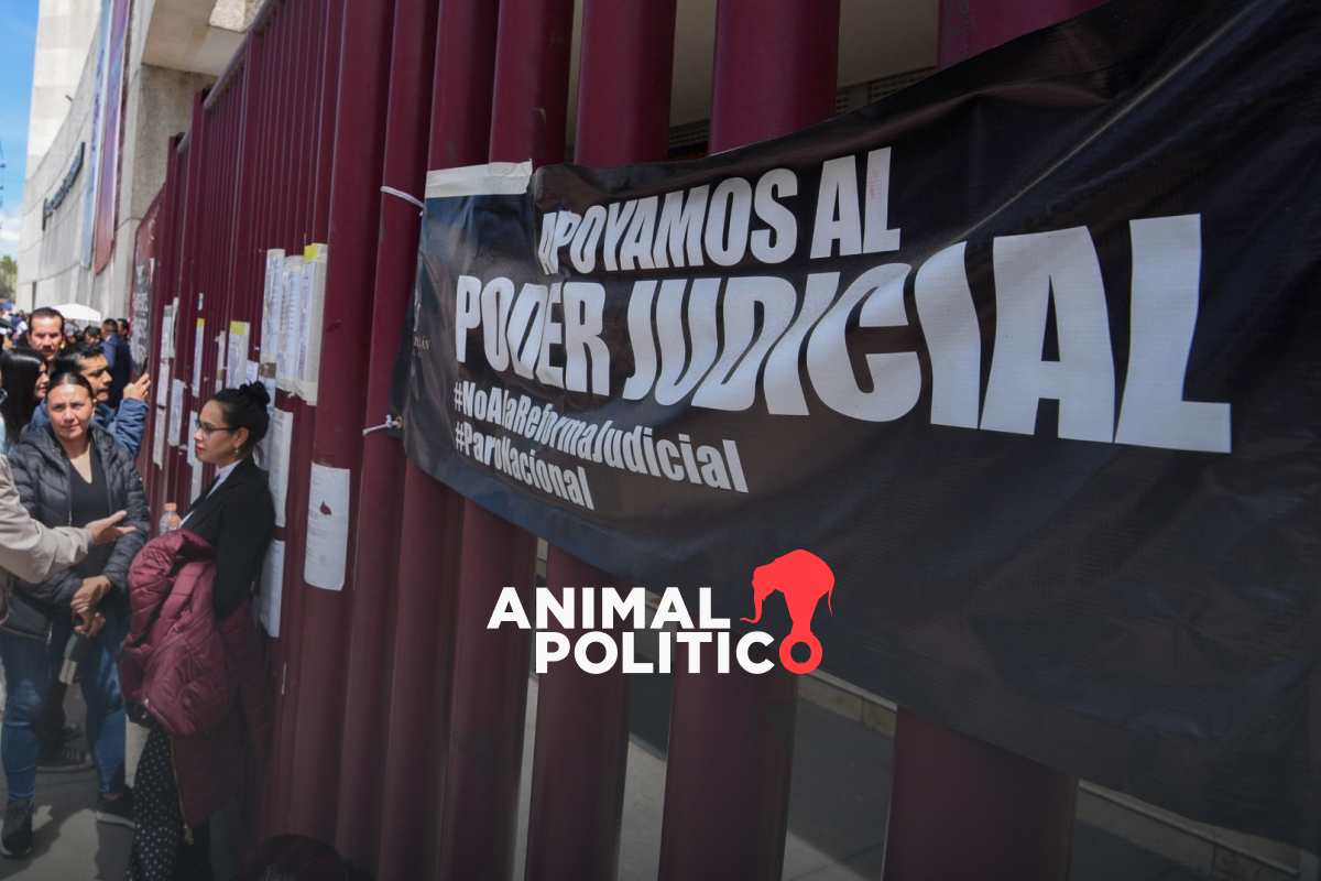 Jueces y magistrados federales votan por mantener paro de labores en el ...